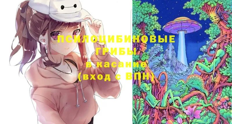 Псилоцибиновые грибы Magic Shrooms  Северск 